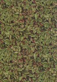 F953-5 - Renaissance 1 Yd Precut