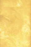 FD101-01 - Plaster of Paris