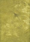 FD101-05 - Plaster of Paris - 1 Yd Precut