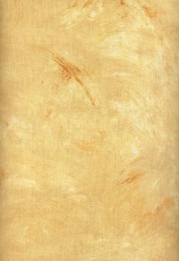 FD101-07 - Plaster of Paris