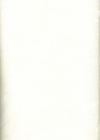FD101-16 - Plaster of Paris