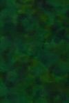 H50-12 Forest - Perfect Palette