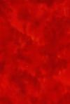 H50-14 Strawberry - Perfect Palette