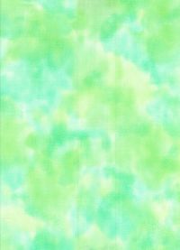 H50-18 Lawn - Perfect Palette