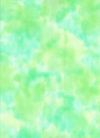H50-18 Lawn - Perfect Palette