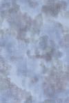 H50-21 Tin - Perfect Palette