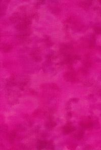 H50-22 Fuschia - Perfect Palette