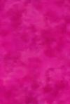 H50-22 Fuschia - Perfect Palette