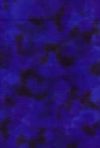 H50-29 Midnight - Perfect Palette