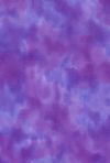 H50-30 Hyacinth - Perfect Palette
