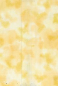 H50-33 Buttermilk - Perfect Palette