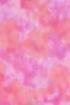H50-36 Sweetpea - Perfect Palette