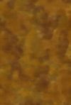 H50-44 Bark - Perfect Palette