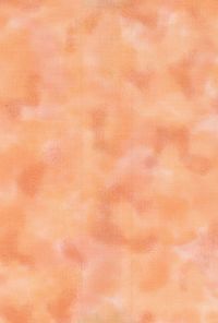 H50-46 Peach - Perfect Palette