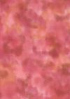 H50-49 Flamingo - Perfect Palette