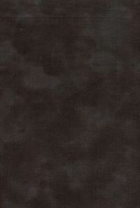 H50-53 Black - Perfect Palette