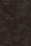 H50-53 Black - Perfect Palette