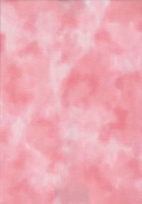 H50-56 Perfect Palette - Salmon