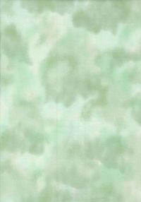 H50-62 Perfect Palette - Lichen