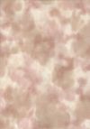 H50-63 Perfect Palette - Buff