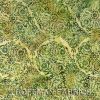 J2381-106 Celery - Bali Handpaint Batiks